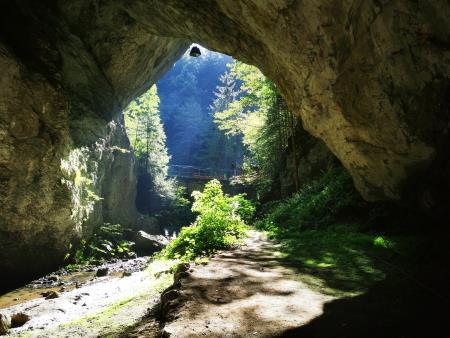 thumbnail_01 HUDA LUKNJA (3)